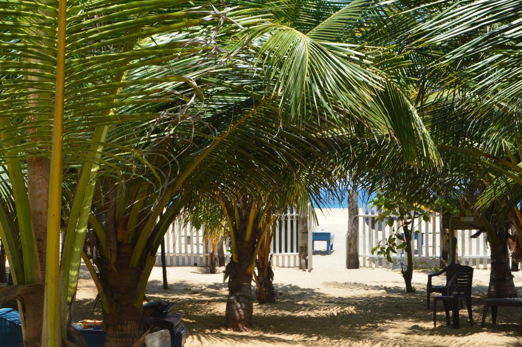 Shim Beach Resort Arugam Bay Zewnętrze zdjęcie